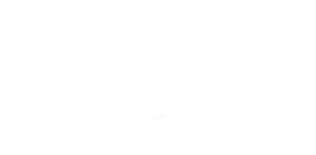 logo seul
