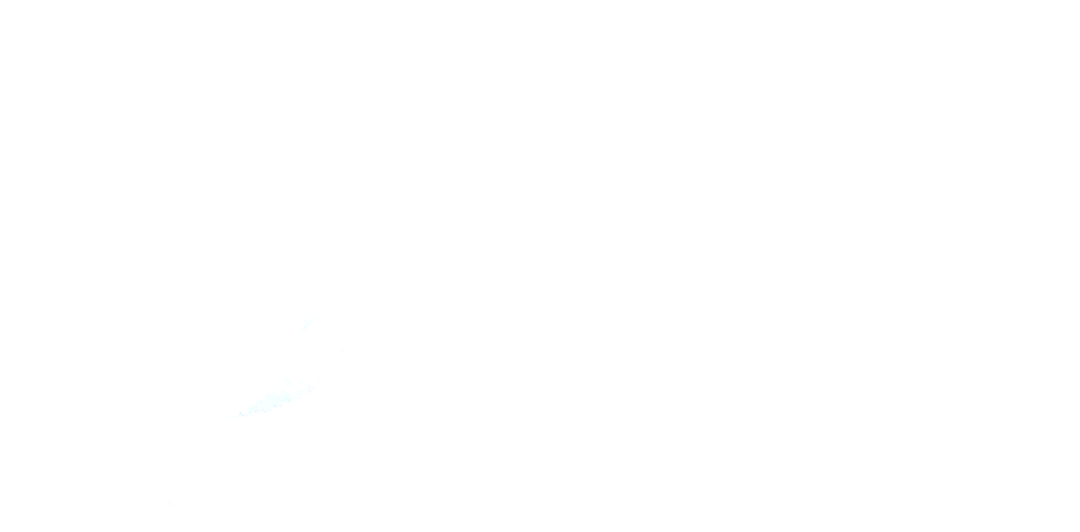 Logo bannière Le Loueur 971 Location de voiture citadine ou berline en Guadeloupe et à Gosier